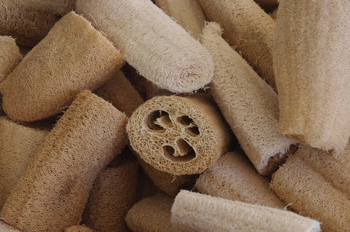 Esponjas Luffa: Todo lo que tienes que saber sobre esta esponja vegetal