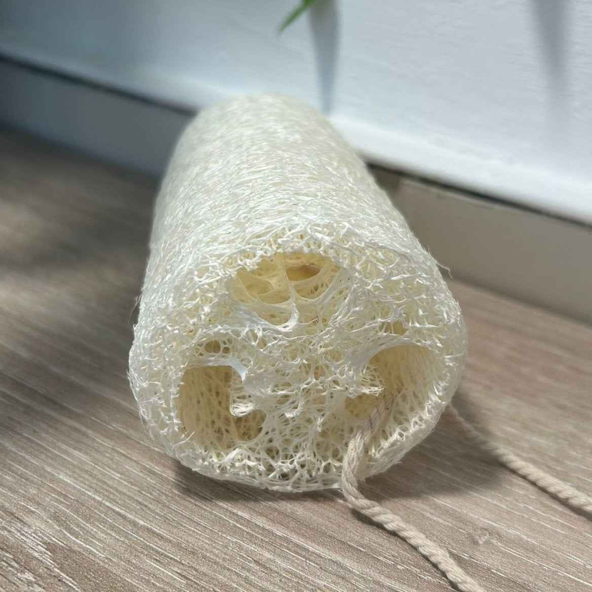 Esponja natural de luffa