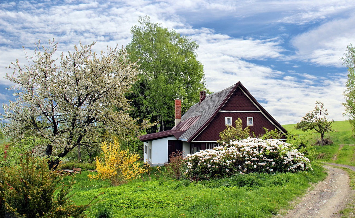 🌿 Productos ecológicos para el hogar