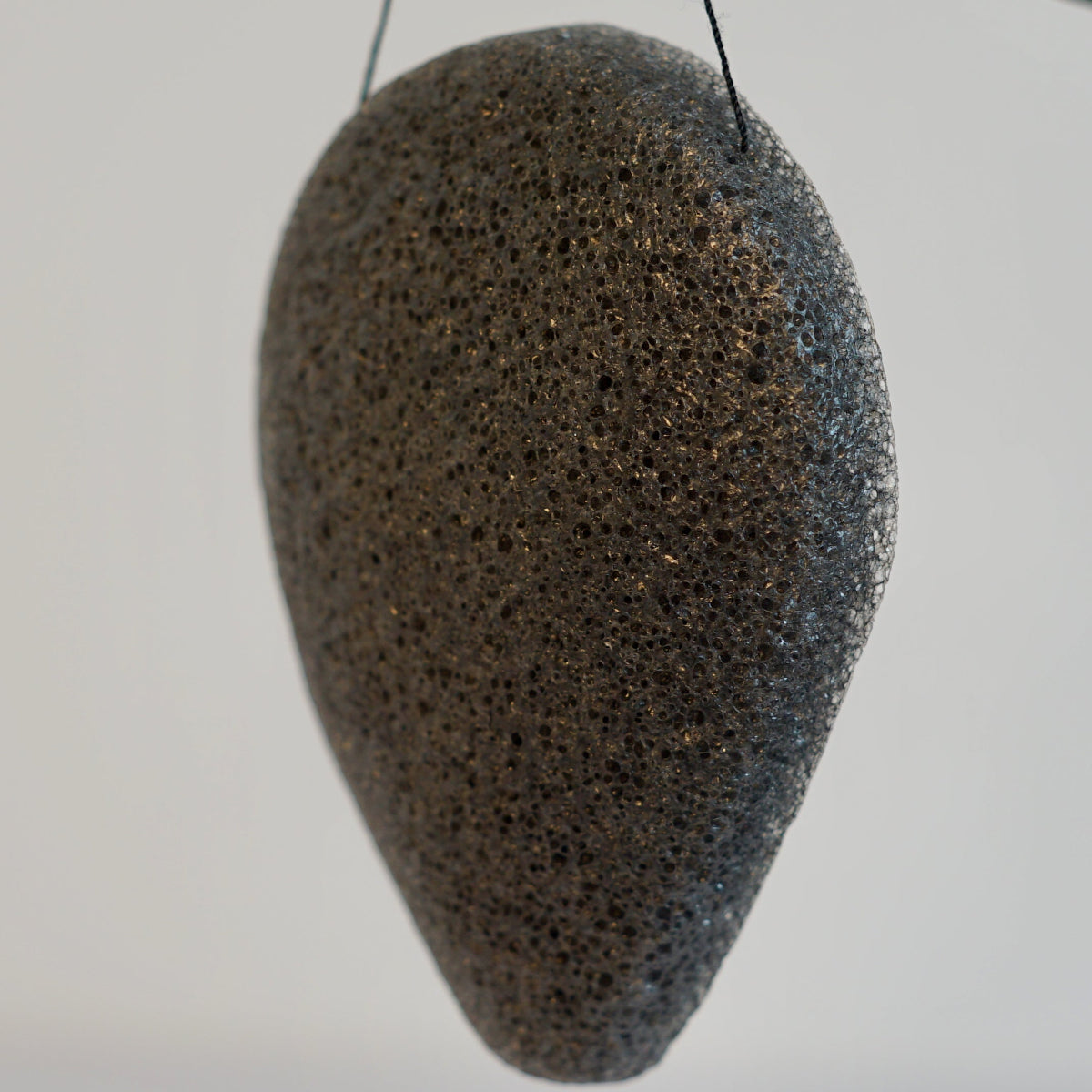 Esponja konjac