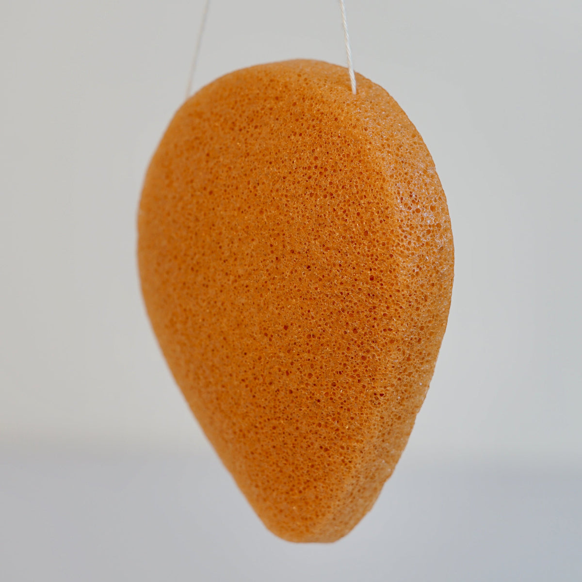 Esponja konjac
