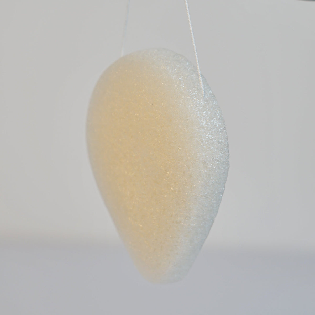 Esponja konjac