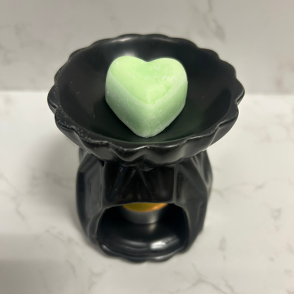 Ceras aromáticas para queimador de óleo - Embalagem de 5 fragrâncias